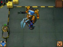 Related Image