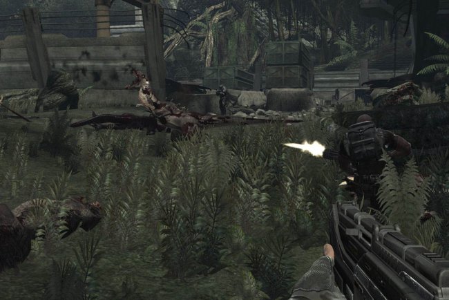 Turok