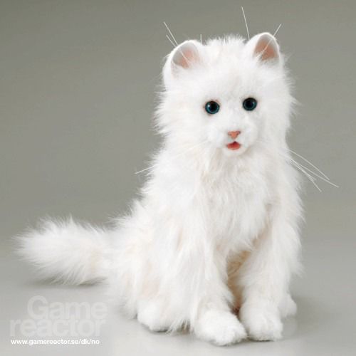Creepy robot-katt