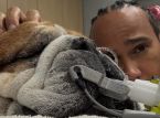 Lewis Hamiltons hund Roscoe ligger i koma: Formel 1-mesteren deler en hjertelig melding
