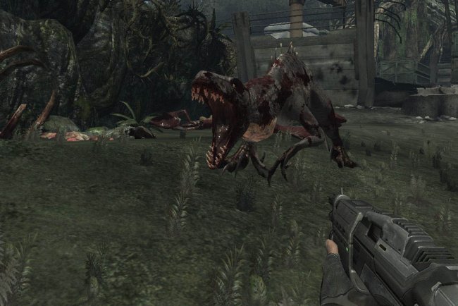 Turok