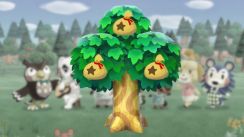media/36/animalcrossing_3123693t.jpg