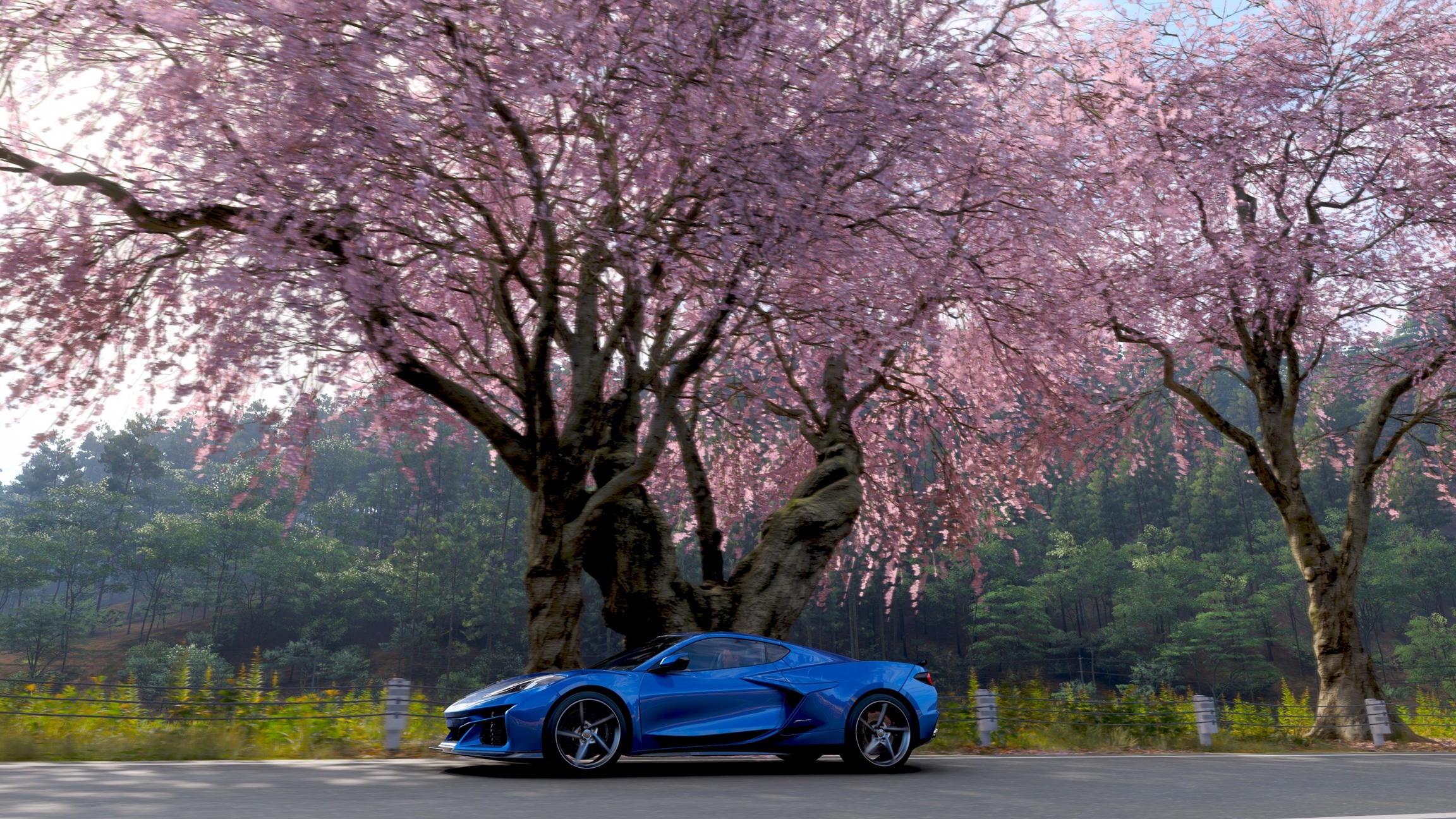 Forza Horizon 6 lar deg ikke ødelegge Japans kirsebærtrær