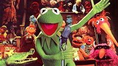media/37/muppetswillreturn_4673763t.jpg