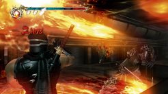 Ninja Gaiden 2-demo