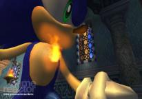 media/39/sonicwildfire_93996t.jpg
