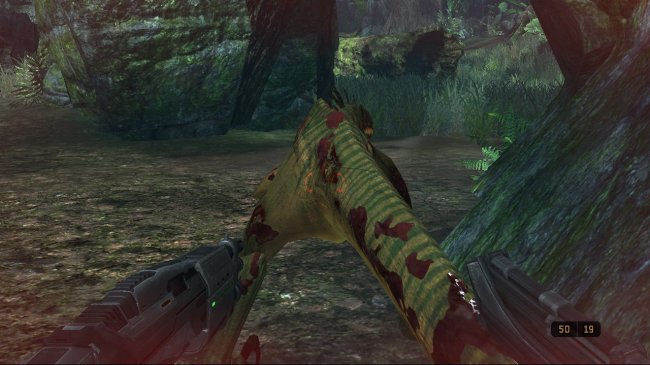 Turok