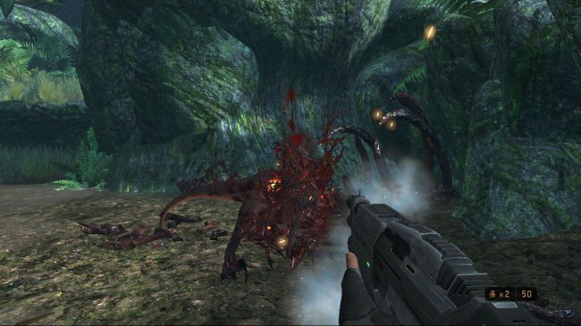 Turok