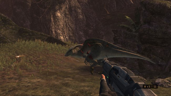 Turok