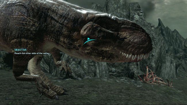 Turok
