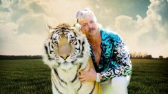 media/42/tigerkinger_3134233t.jpg