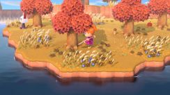 media/43/animalcrossing_2874333t.jpg