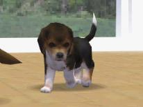 media/43/nyabilderpanintendogs_24313t.jpg