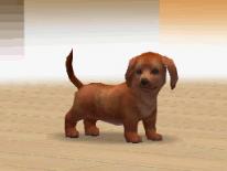 media/43/nyabilderpanintendogs_24314t.jpg