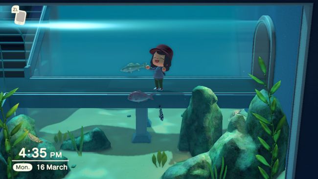 Animal Crossing: New Horizons