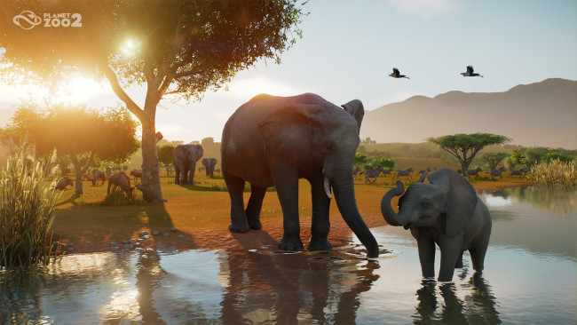 Frontier om Planet Zoo 2s bevaringsarbeid: 