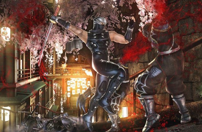 Ninja Gaiden II