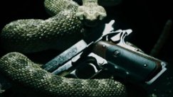 media/47/merinfohitman_244795t.jpg