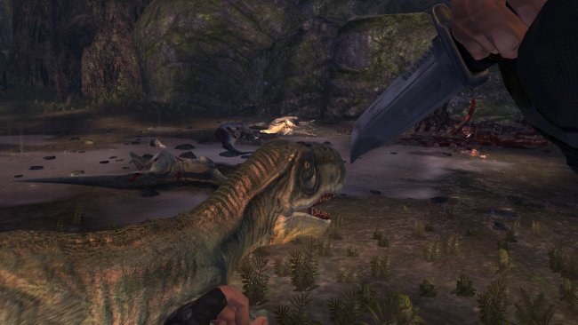 Turok