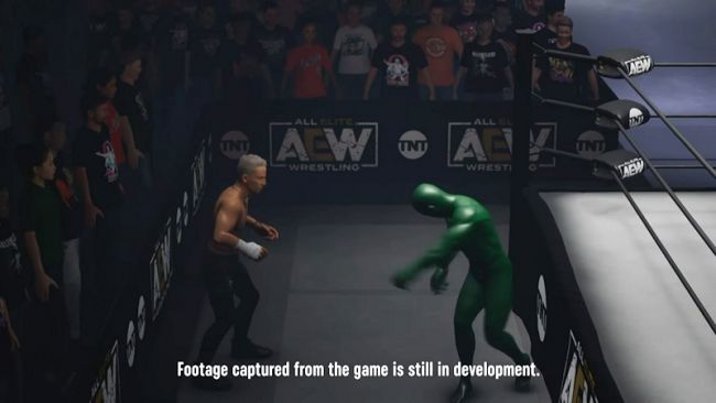 AEW: Fight Forever