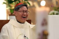 media/49/filipinocardinaltagle_4544943t.jpg