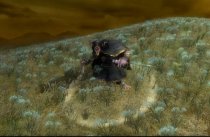 media/49/warhammer_94973t.jpg