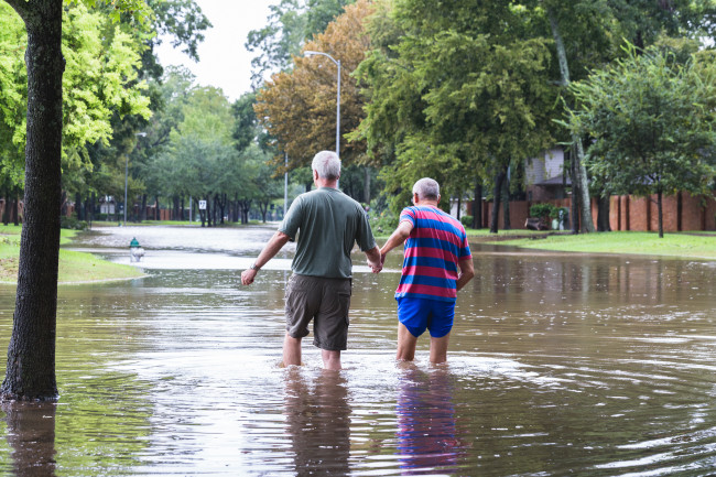 Klimakriser utgjør en økende trussel mot demokratiet, ifølge ny rapport