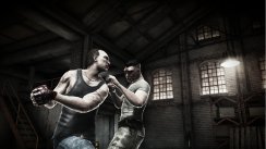 media/50/fight_215033t.jpg