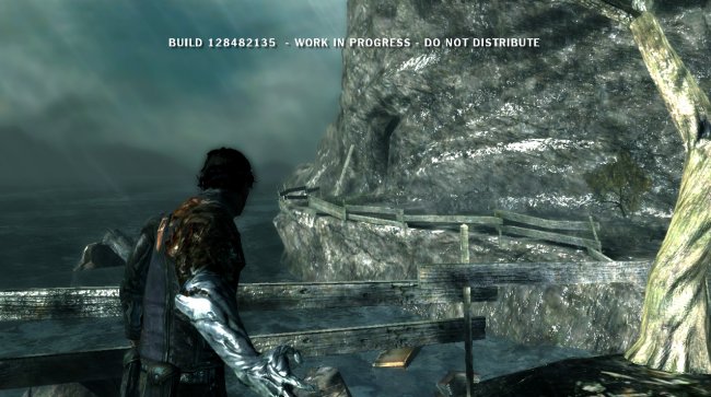 Dark Sector