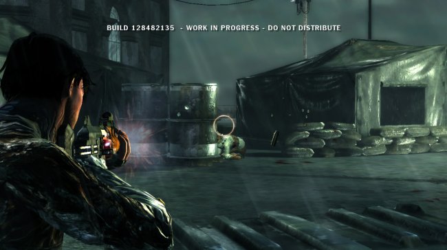 Dark Sector