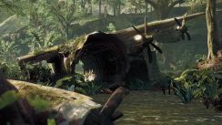 media/51/predator_2835123t.jpg