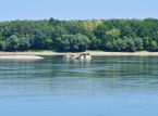 Nedsunkne nazistiske krigsskip kommer til syne etter rekordlave vannstander i Donau