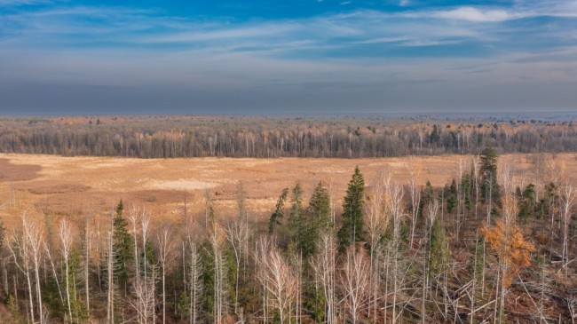 Russland og Hviterussland innleder militærøvelser nær Polen