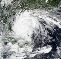 media/52/typhoonkajikileaves_4645233t.jpg