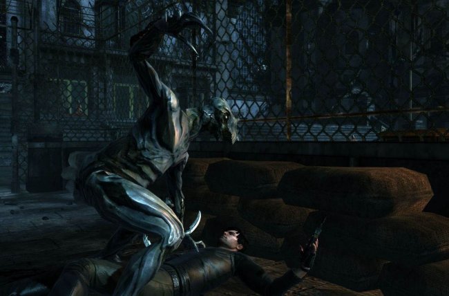 Dark Sector