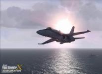 media/55/mertilflight_135570t.jpg