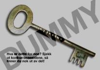 media/56/finnerdunokkelen_75622t.jpg
