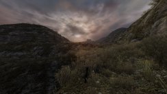 media/61/dearestheris_1726163t.jpg