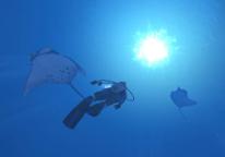 media/61/e3_126198t.jpg