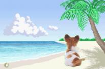 media/61/pocketdogsutmanarnintendogs_26154t.jpg