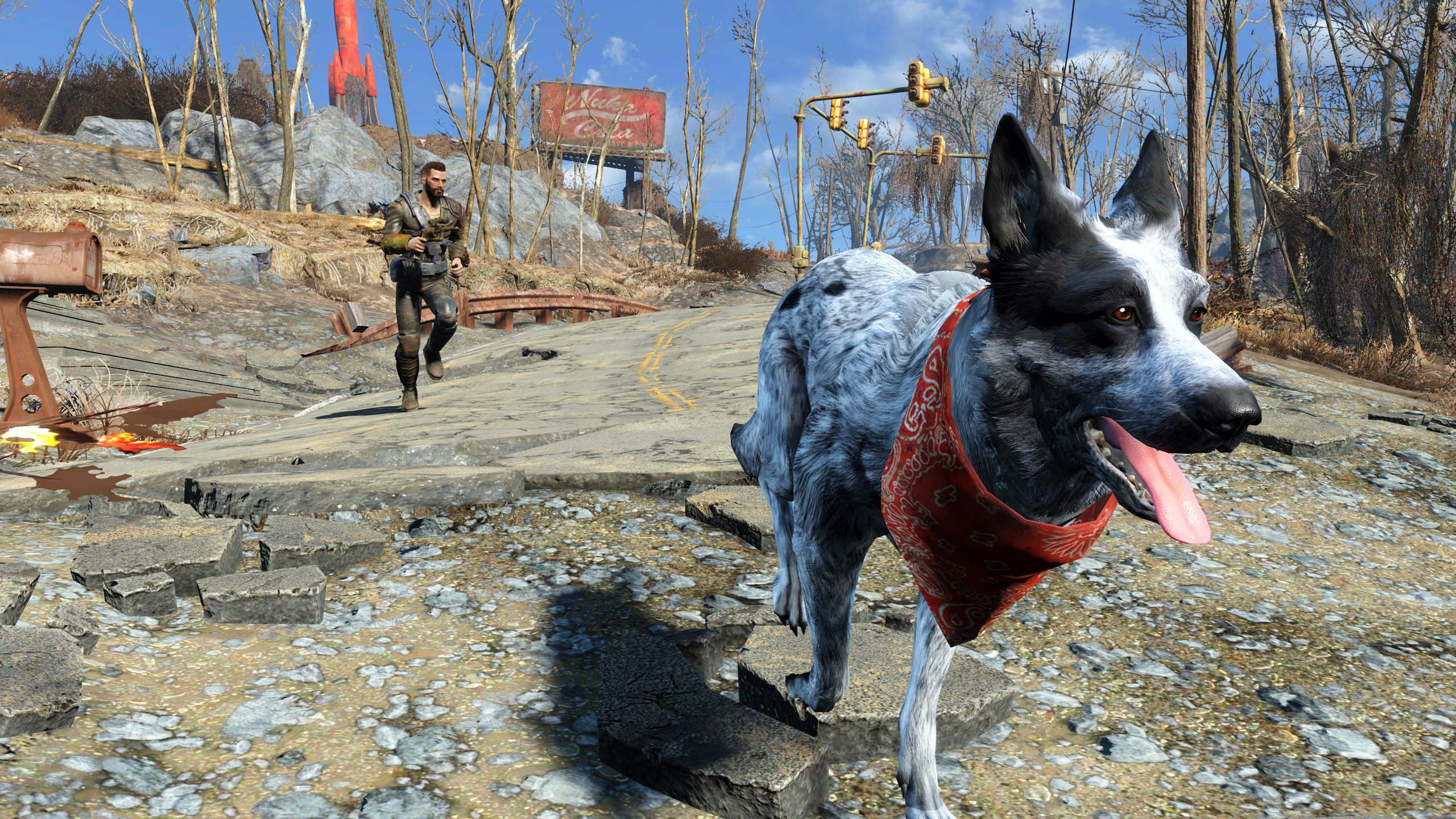 Дикие псы 4. Фоллаут 4 пес. Fallout 4 псина. Fallout 4 собака. Dogmeat Fallout 4.