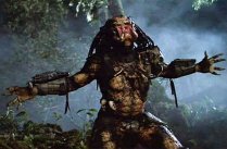 media/63/predator_216317t.jpg
