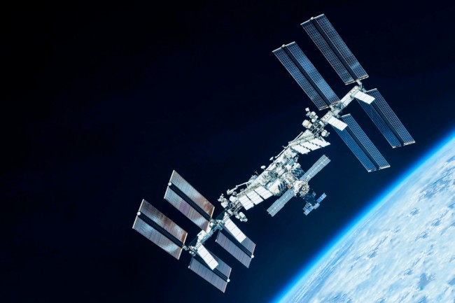 Forskere sendte mose ut i vakuumet i verdensrommet. I dag avslører de at den overlevde i 283 dager.