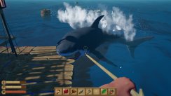 media/64/sharkscircleas_2196483t.jpg