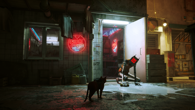 Stray
