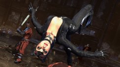 media/65/catwomanscreensbound_246520t.jpg