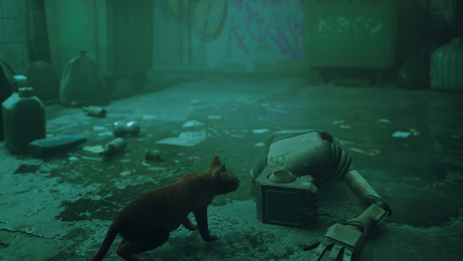 Stray