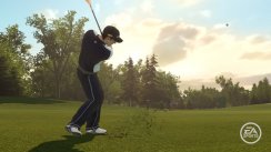 media/66/hinktigerwoods_156610t.jpg
