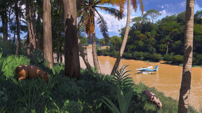Microsoft Flight Simulator 2024