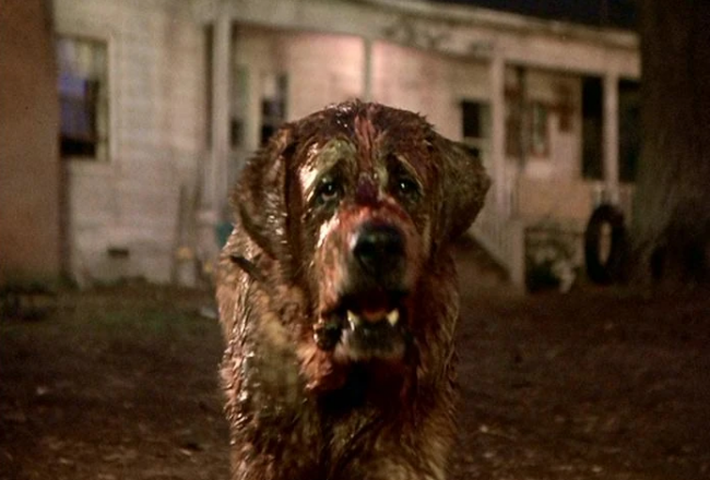Netflix planlegger en nyinnspilling av Stephen Kings Cujo